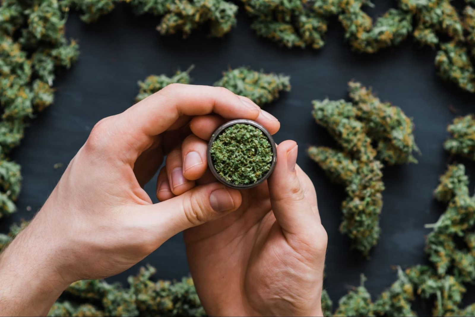 The Future of Medicine: Emerging Research in Medical Cannabis Therapy